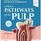 Cohen's PATHWAYS of the PULP